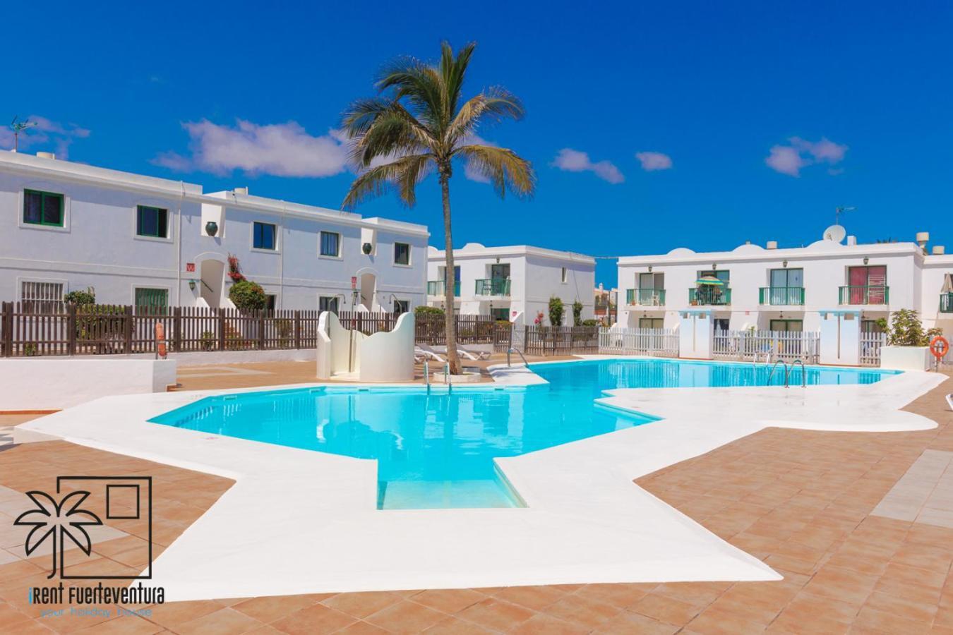 Passion Pool View & Wifi By Irent Fuerteventura Corralejo 아파트 외부 사진
